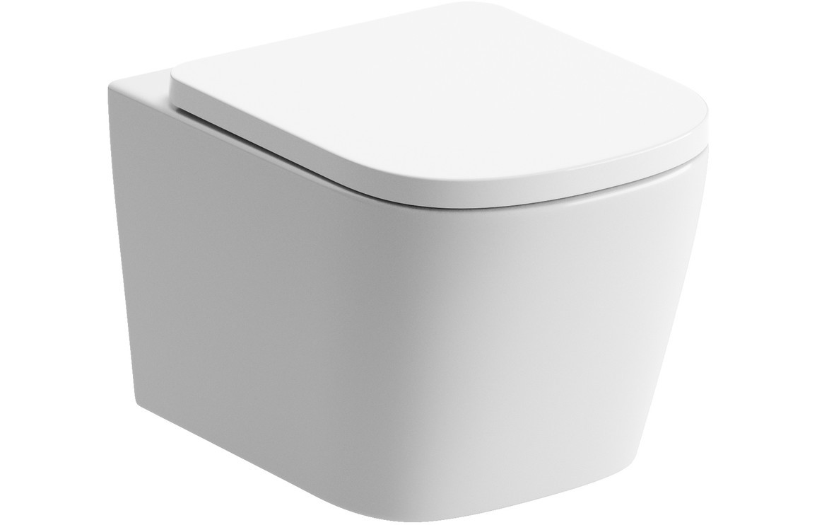 Raymond Rimless Wall Hung WC & S/C Seat