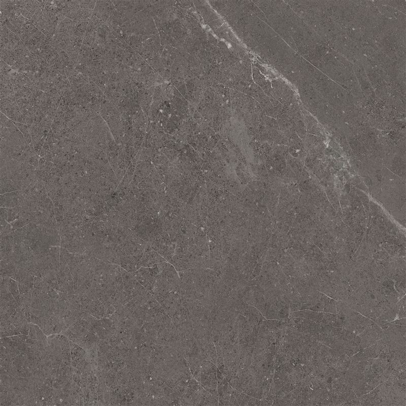 Meteorite Tile Grey 60x60