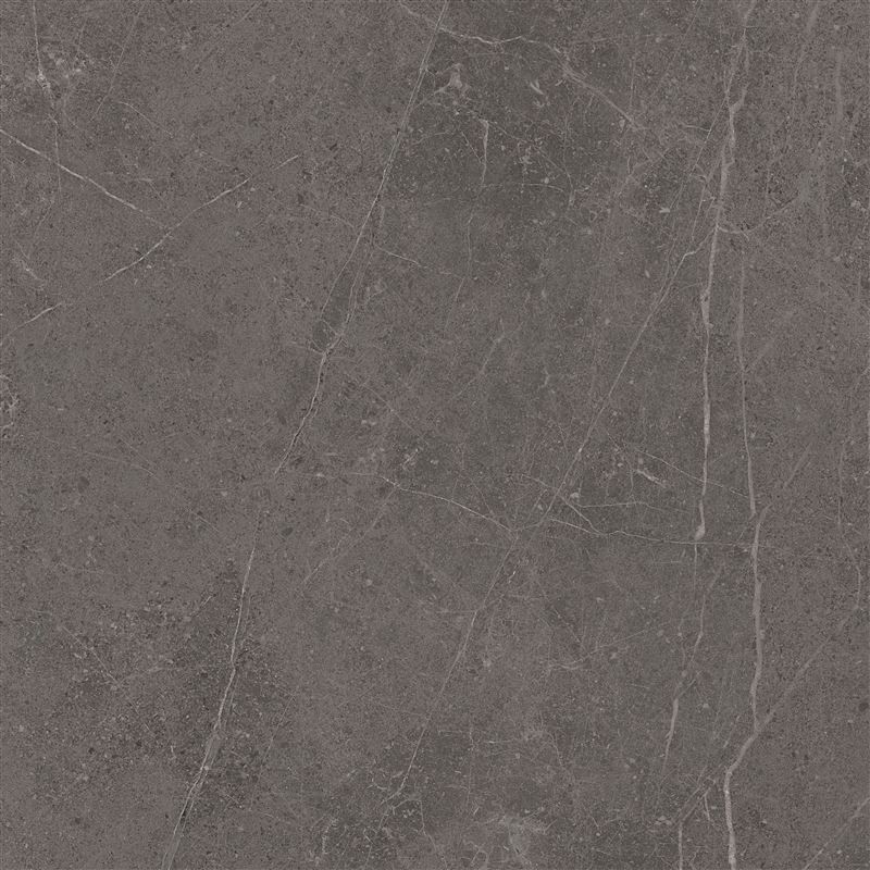 Meteorite Tile Grey 60x60