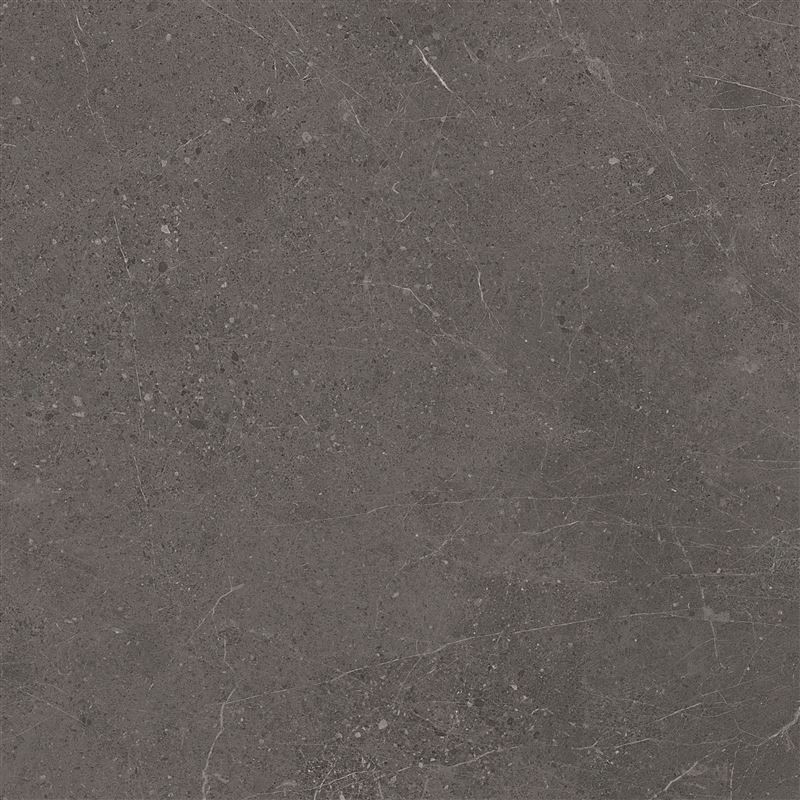 Meteorite Tile Grey 60x60