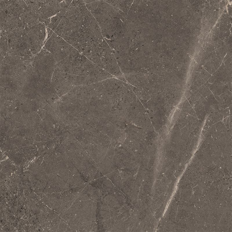 Meteorite Tile Grey 60x60