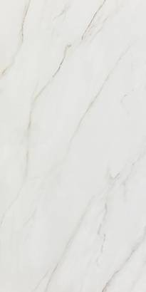 Calacatta Africa 60x120